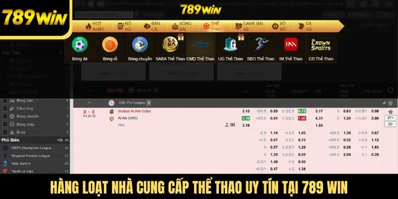Hàng loạt nhà cung cấp thể thao uy tín tại 789 Win