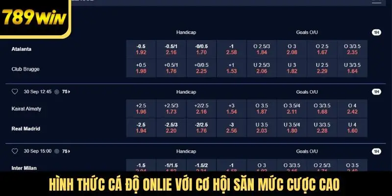 Hình thức cá độ online với cơ hội săn mức cược cao